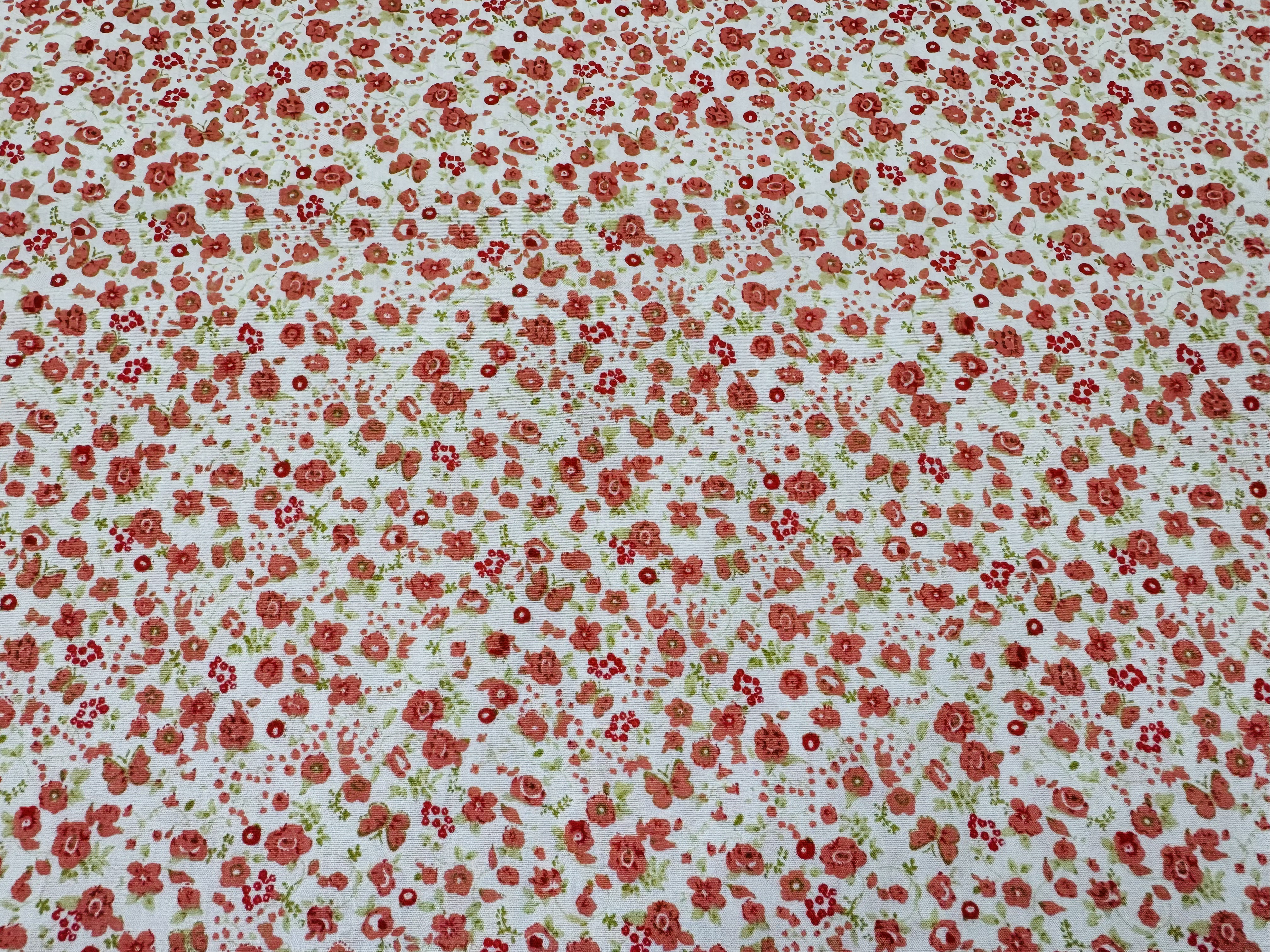 Mariposa Coral 58-05