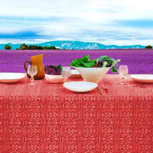 Loneta Española Delsy Ancho 2.80mt