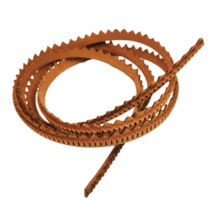 Viras Recuperada Dentada Dama