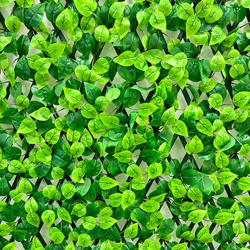 Enredadera Plástica Extensible