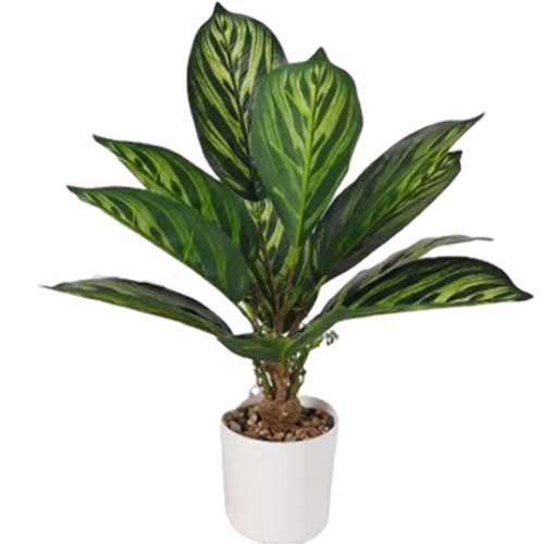 Planta Artificial Calatea Verde 46cm