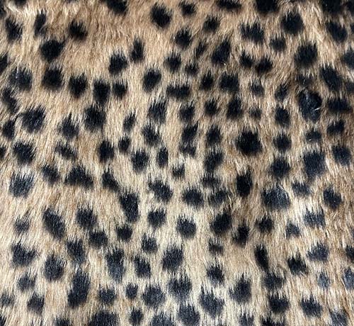 Leopardo 3DO