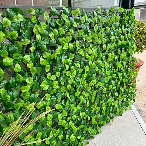 Enredadera Plástica Extensible