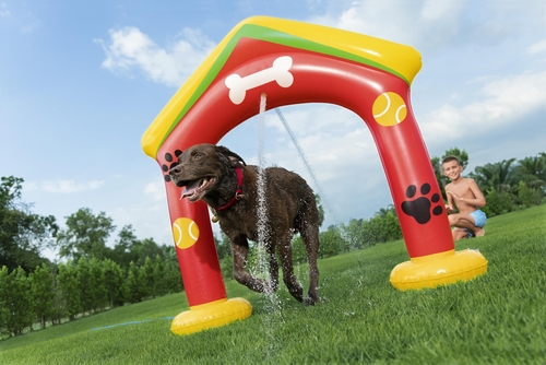 Rociador Para Mascotas 142x36x127 Bestway 52729