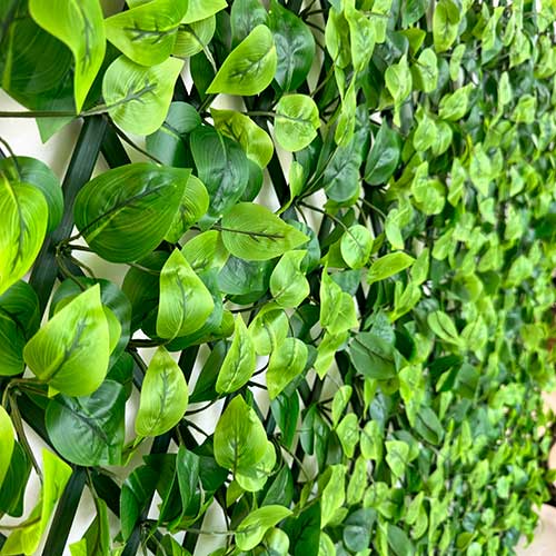 Enredadera Plástica Extensible