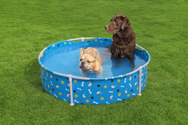 Piscina Para Mascotas 122x30,5cm Bestway 561KM
